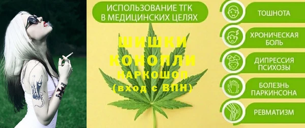 дживик Володарск