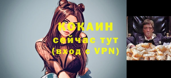 дживик Володарск