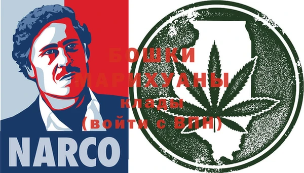 дурь Вяземский