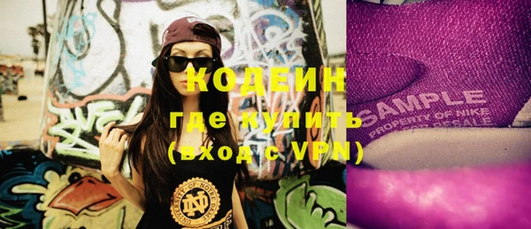 дурь Вяземский