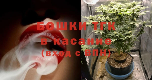 дурь Вяземский