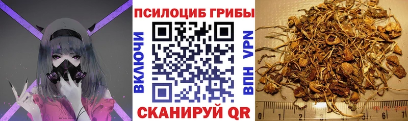 Купить закладки  Нариманов  Галлюциногенные грибы ЛСД 